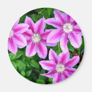 Elegant pink floral green botanical  magnet