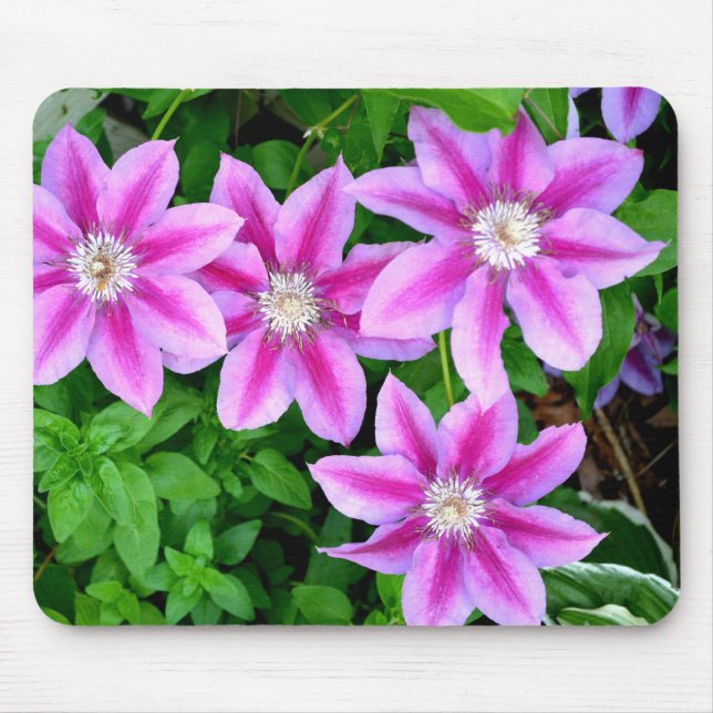 Elegant pink floral green botanical  mouse pad (Front)