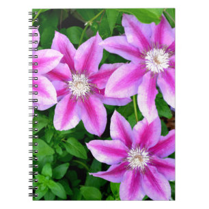 Elegant pink floral green botanical  notebook