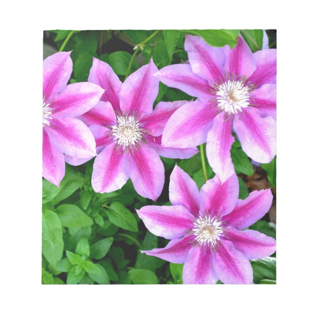 Elegant pink floral green botanical  notepad (Front)