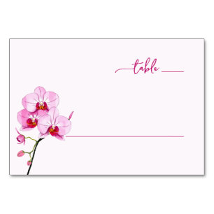 Elegant Pink Floral Orchid Illustration Table Number