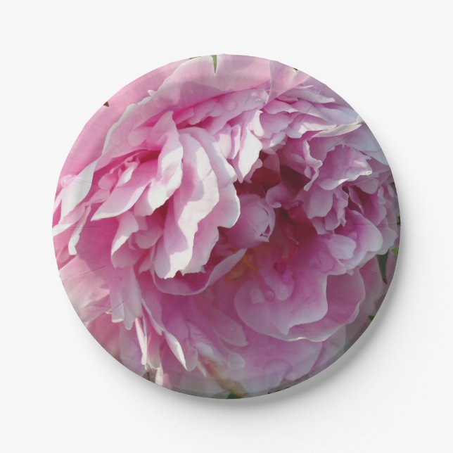 Elegant pink floral pink flower Pink Peonies Paper Plate (Front)
