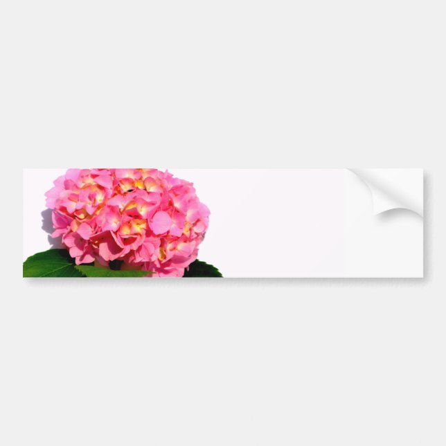 Elegant pink floral pink hydrangea  bumper sticker (Front)