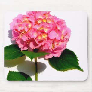 Elegant pink floral pink hydrangea  mouse pad