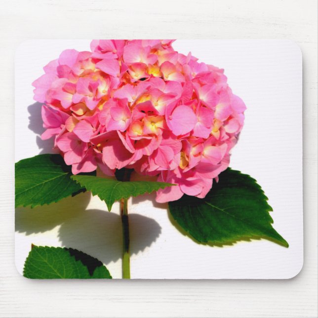 Elegant pink floral pink hydrangea  mouse pad (Front)