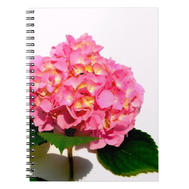 Elegant pink floral pink hydrangea  spiral notebook (Front)
