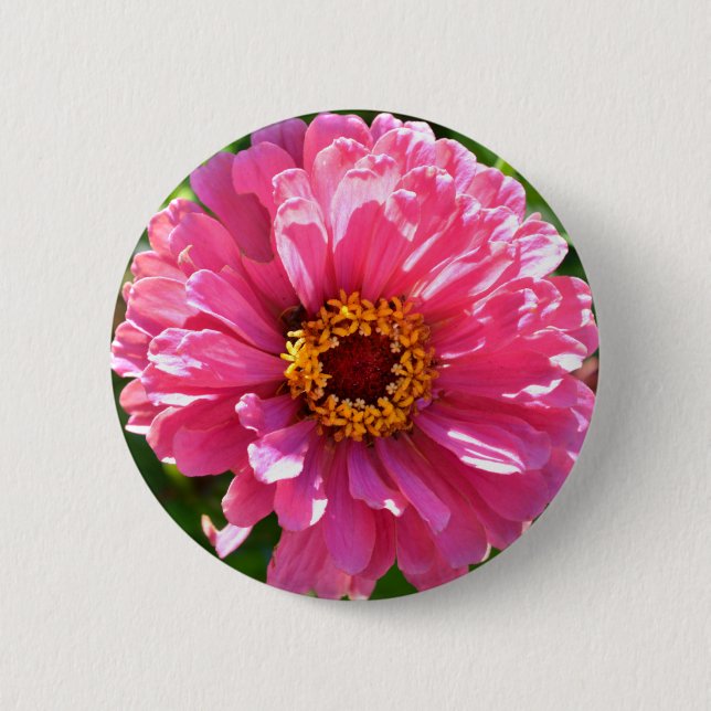 Elegant pink floral retro pink daisy  6 cm round badge (Front)
