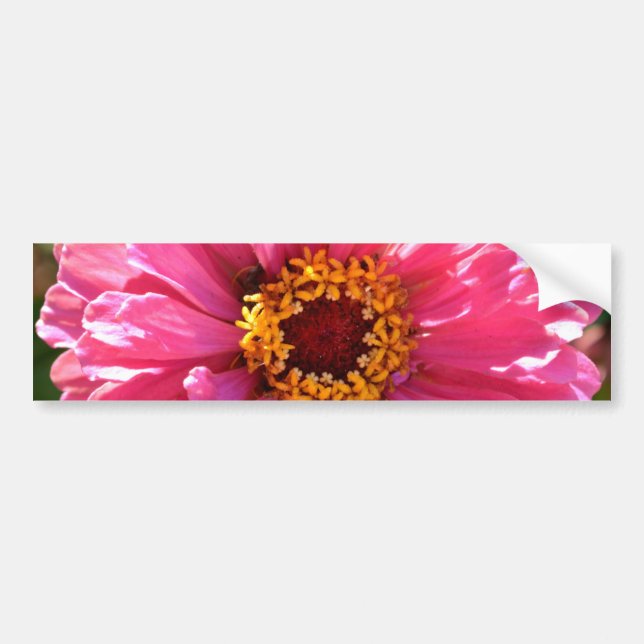 Elegant pink floral retro pink daisy  bumper sticker (Front)