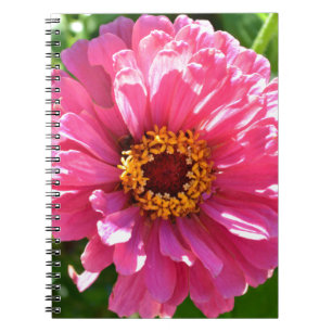 Elegant pink floral retro pink daisy spiral notebook