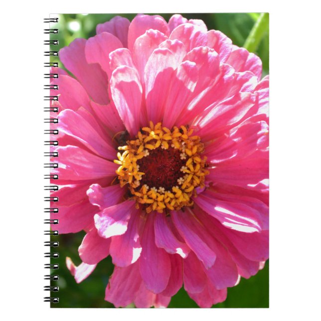 Elegant pink floral retro pink daisy  spiral notebook (Front)