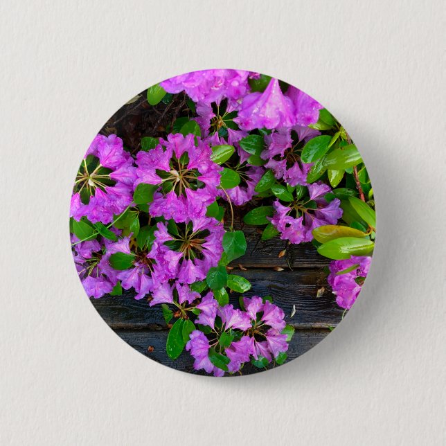Elegant pink florals pink azaleas pink flowers 6 cm round badge (Front)