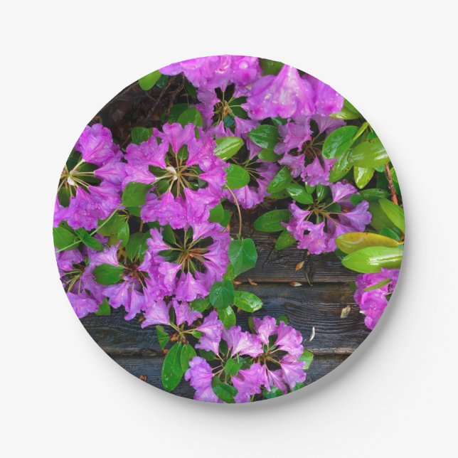 Elegant pink florals pink azaleas pink flowers paper plate (Front)