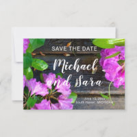 Elegant pink florals pink azaleas pink flowers