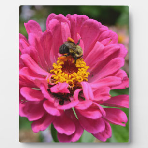 Elegant pink flower cute bee plaque