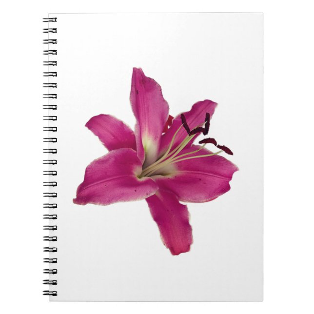 Elegant Pink Lily – Floral Esthetic Notebook (Front)