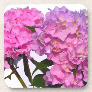 Elegant pink purple floral hydrangeas coaster