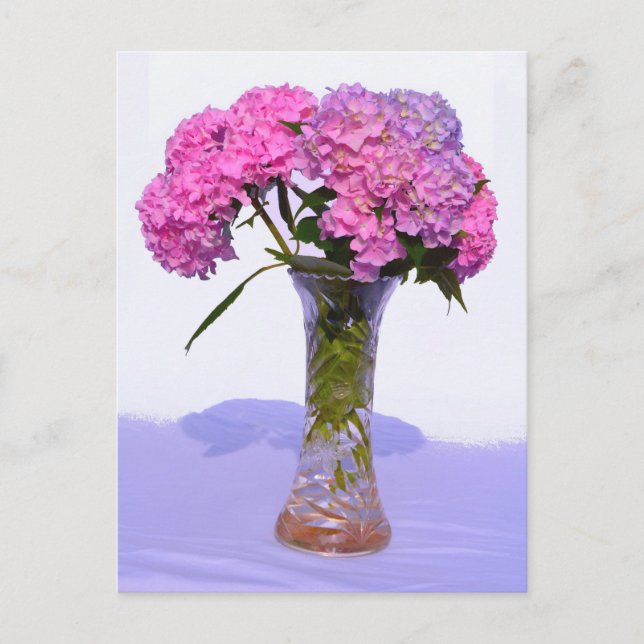 Elegant pink purple florals hydrangeas postcard (Front)