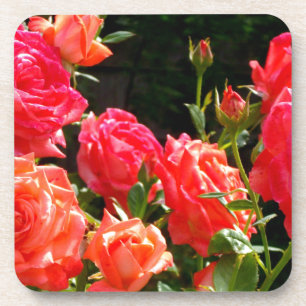 Elegant pink red orange floral roses coaster