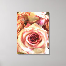 Elegant Pink Rimmed White Roses Photo Canvas Wall