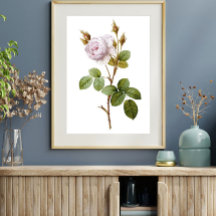 Elegant Pink Rose Botanical Printable Poster