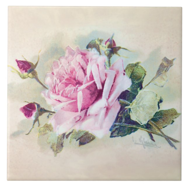 Elegant Pink Rose with Rosebuds Tile (Front)