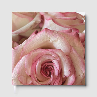 Elegant Pink Tipped White Rose Foil Guestbook