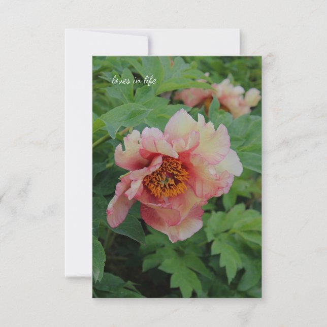 Elegant Pink tone Peony Card (Front)