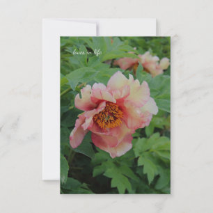 Elegant Pink tone Peony Card
