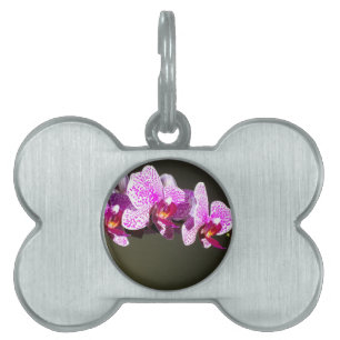 Elegant pink tropical floral flowers orchids pet ID tag