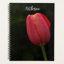 Elegant Pink Tulip Photo Script Personalised 