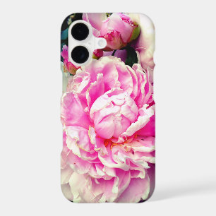 Elegant pink white peony floral garden photo