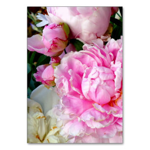 Elegant pink white peony floral garden photo table number