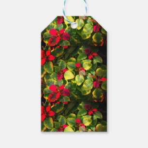 Elegant Poinsettia Christmas Gift Tags