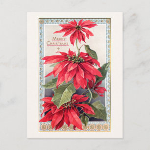 Elegant Poinsettias in Decorative Gold Frame Postcard
