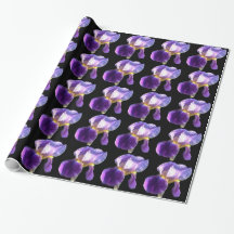 Elegant, pretty purple iris flower in black