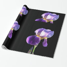 Elegant, pretty purple iris flower in black