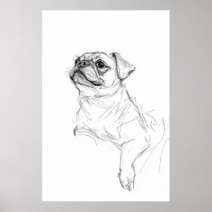 Elegant Pug Portrait Sketch - Premium Poster