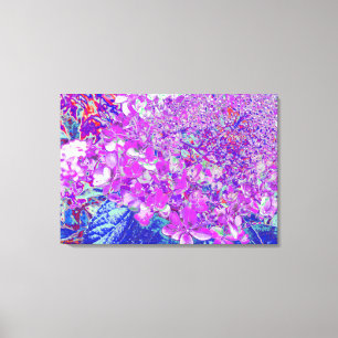 Elegant Purple and Blue Limelight Hydrangea Canvas Print