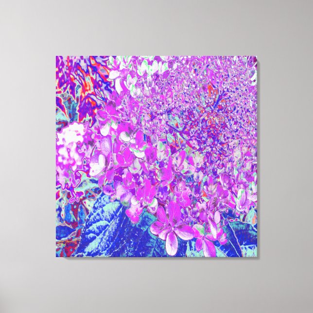 Elegant Purple and Blue Limelight Hydrangea Canvas Print (Front)