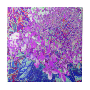 Elegant Purple and Blue Limelight Hydrangea Tile
