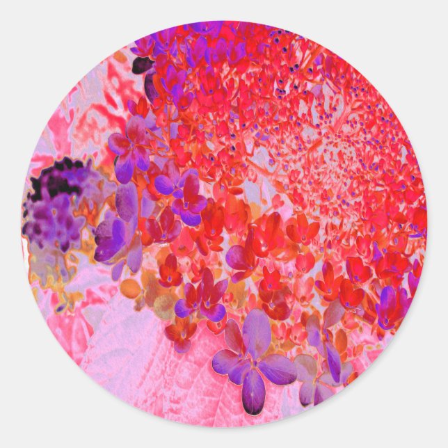 Elegant Purple and Orange Limelight Hydrangea Classic Round Sticker (Front)
