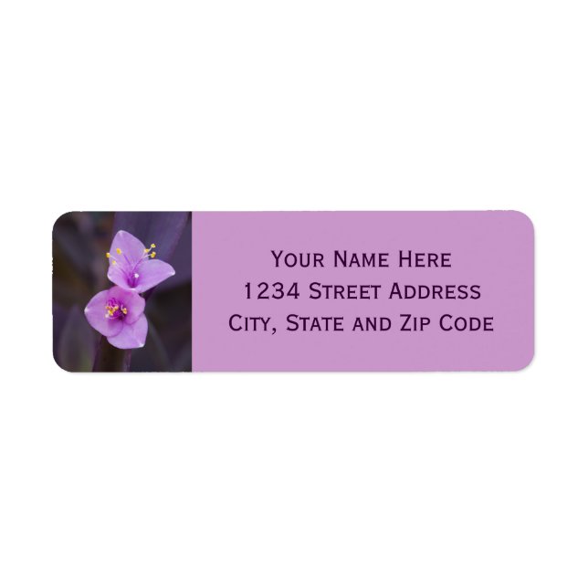 Elegant Purple Blossoms Photo (Front)
