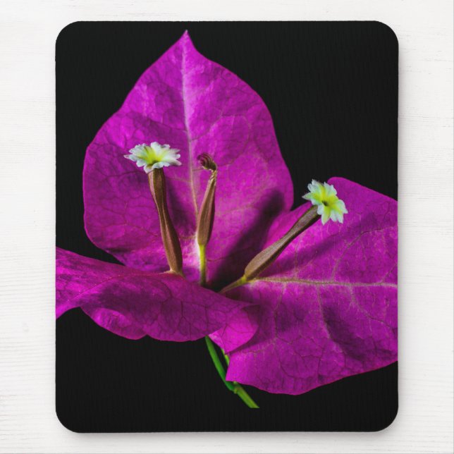 Elegant Purple Bougainvillea Mouse Pad (Front)