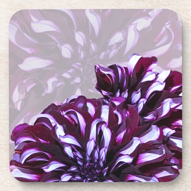 Elegant purple dahlia flower coaster (Front)
