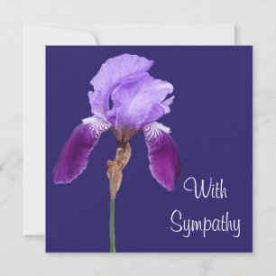 Elegant purple iris flower fine art sympathy card