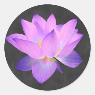 Elegant Purple Lotus Sticker