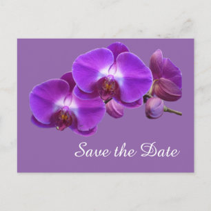 Elegant, purple orchid flowers save the date announcement postcard