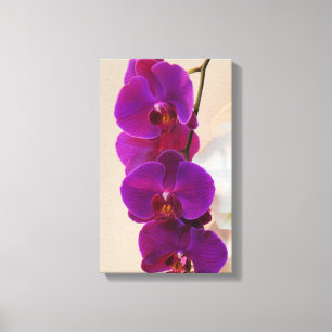 Elegant Purple Orchid Wrapped Canvas
