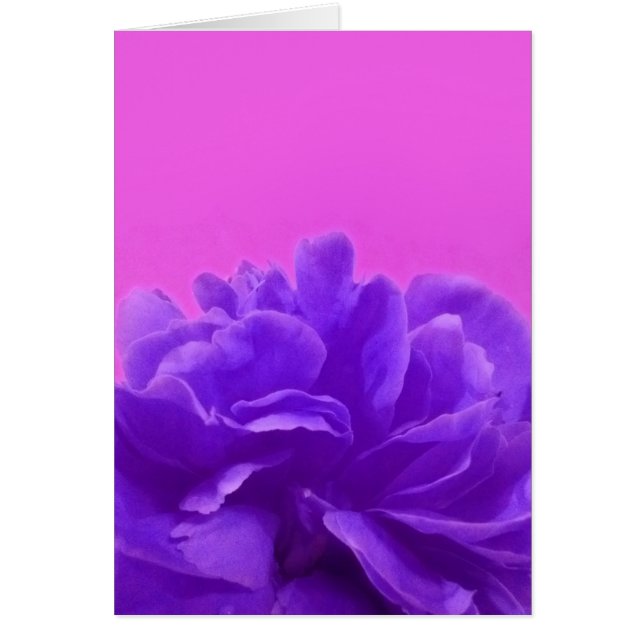 Elegant Purple Raspberry Floral (Front)