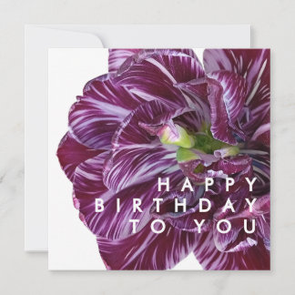 Elegant Purple Tulip Floral Happy Birthday Card
